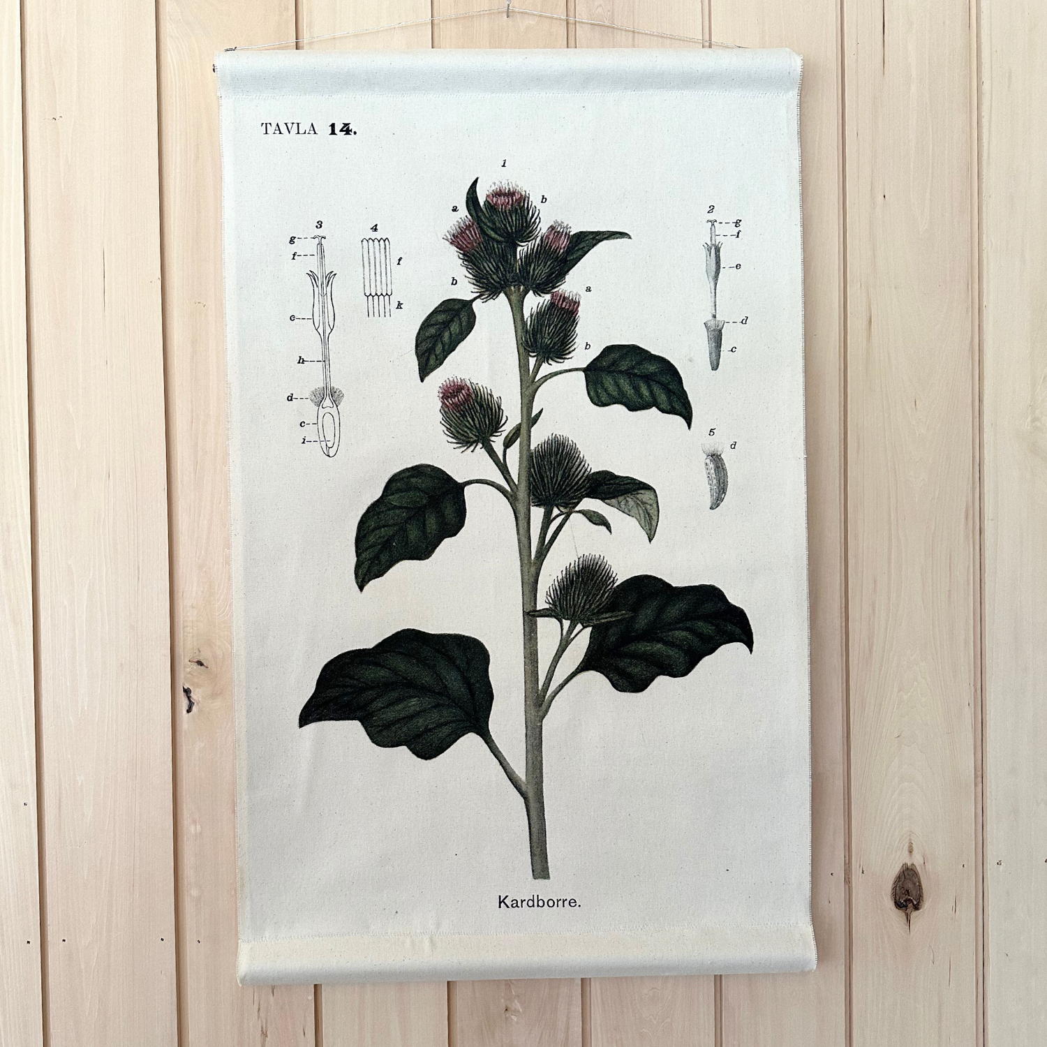 Canvas Wall Hanging - Burdock Flower
